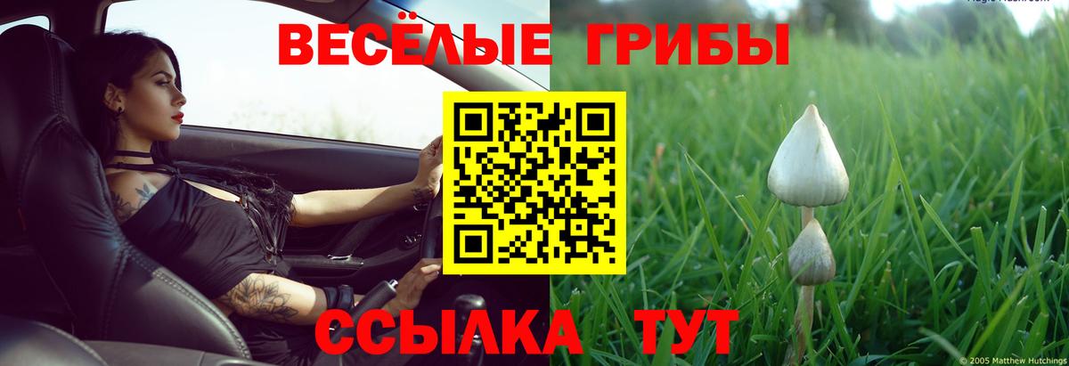 Галлюциногенные грибы GOLDEN TEACHER  Вход с VPN  Нижневартовск  Псилоцибиновые грибы MAGIC MUSHROOMS 